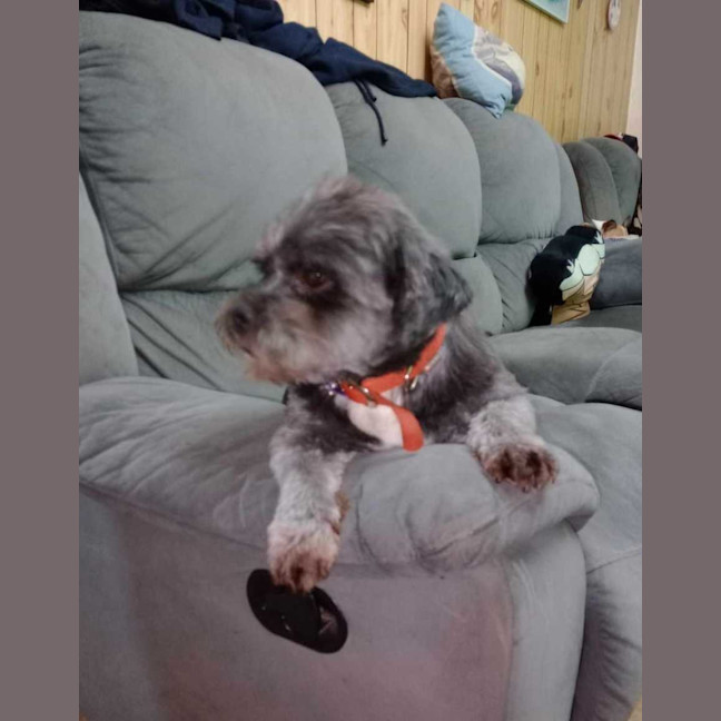 Photo of Bearboo And Melli