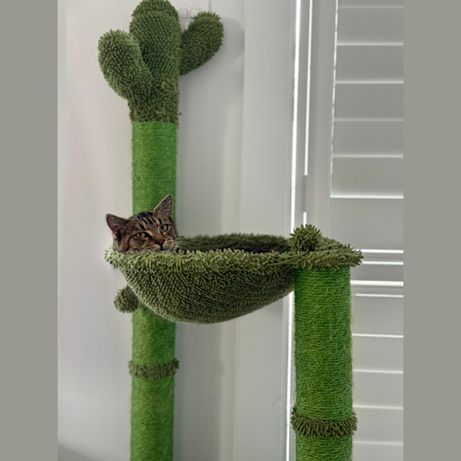 Photo of Gigi