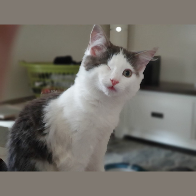 Photo of Pablo Moriarty