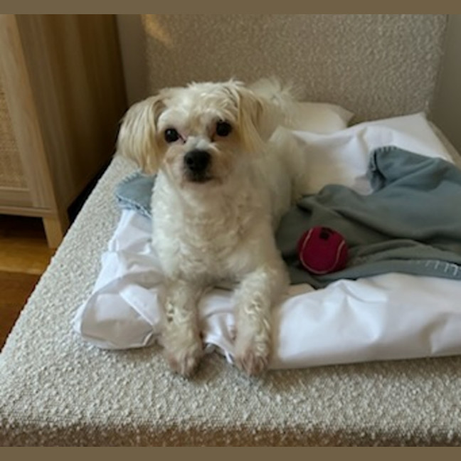 Photo of Izzy