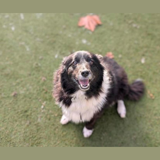Photo of Jazz