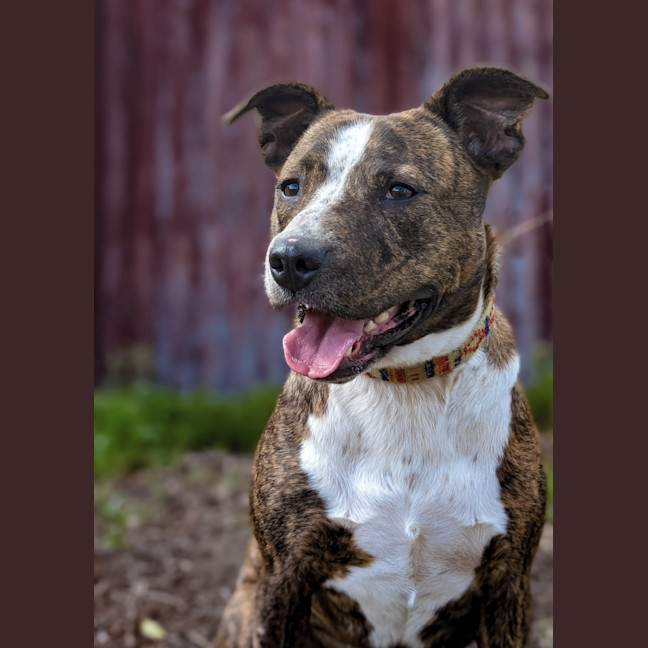 Photo of Promise 