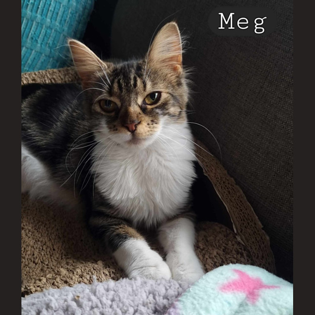 Photo of Meg