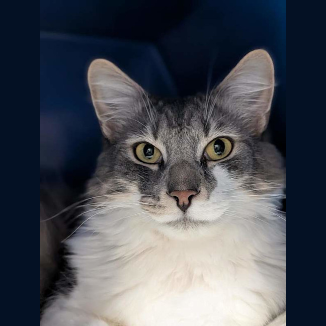 Photo of Gandalf