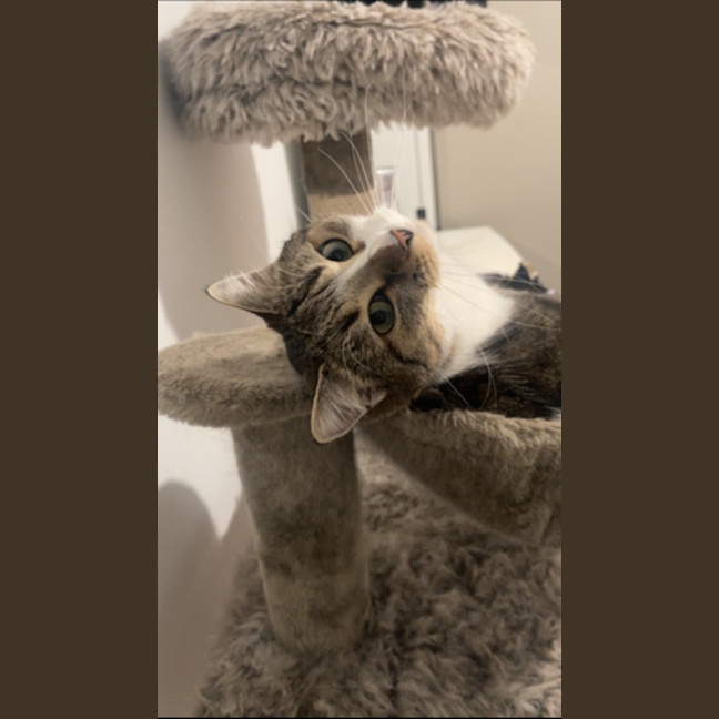 Photo of Kiara