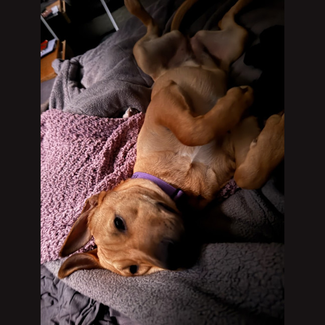 Photo of Winnie 