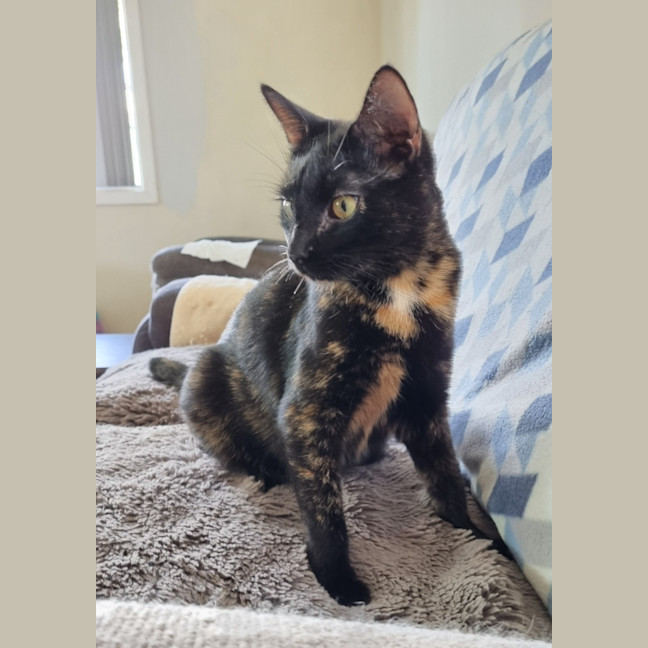 Photo of Mae