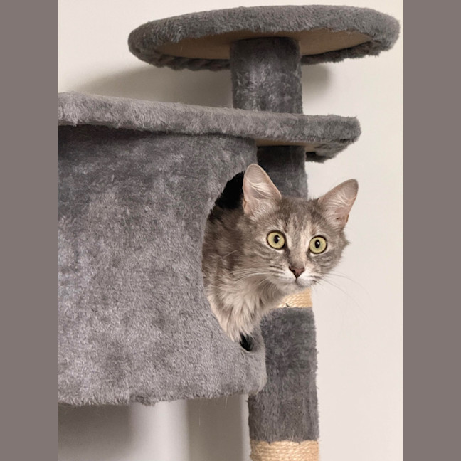 Photo of Brooklyn & Bandit 