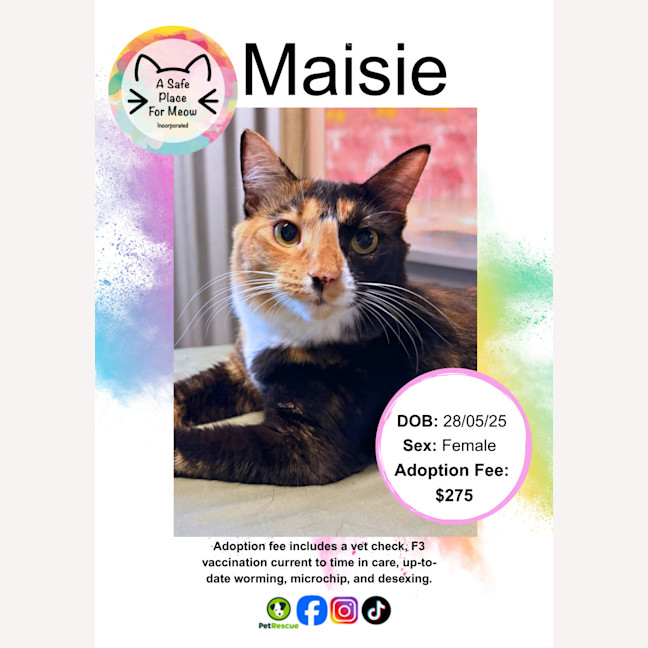 Photo of Maisie