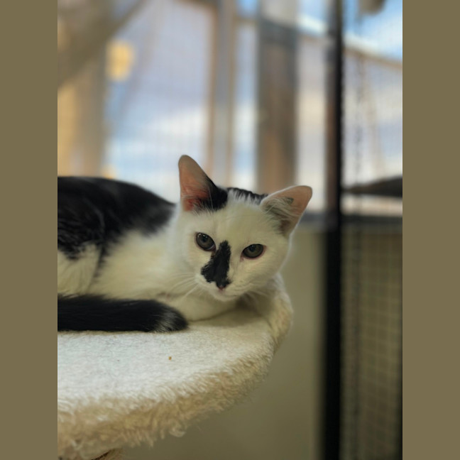 Photo of 🗼 Gilly 5927 🗼