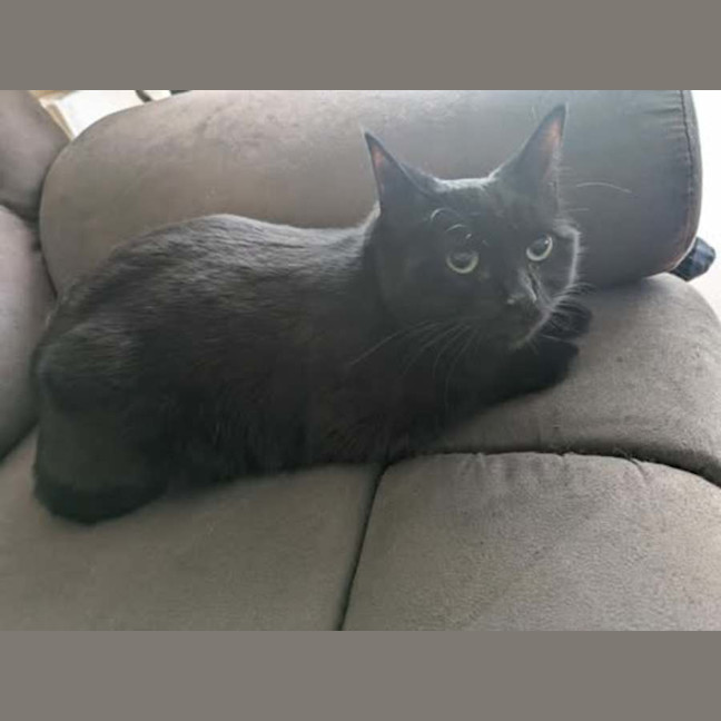 Photo of Jinx