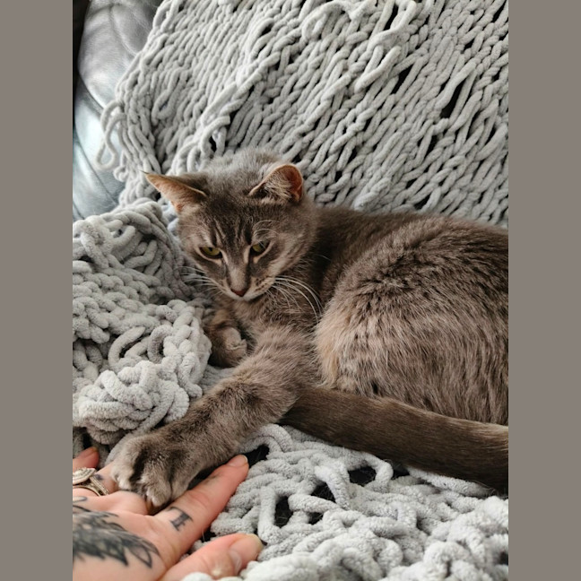 Photo of Tammy