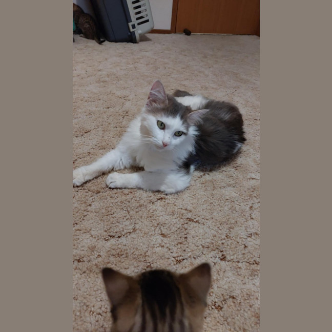 Photo of Mimi
