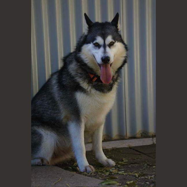 Photo of Delilah