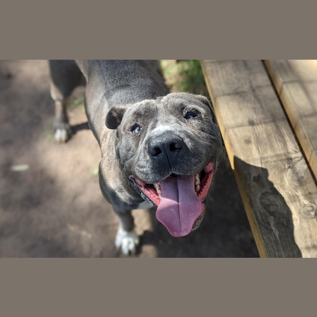 Photo of Tinker