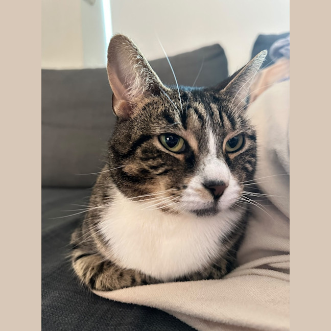Photo of Artemis