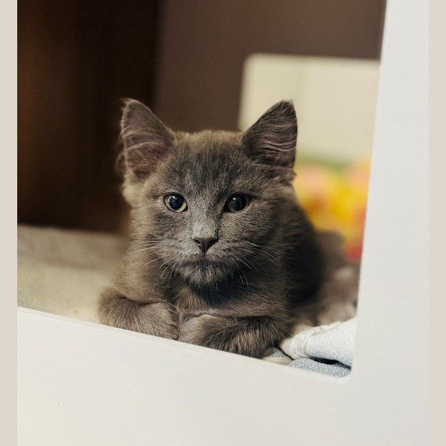 Photo of Wiggles 