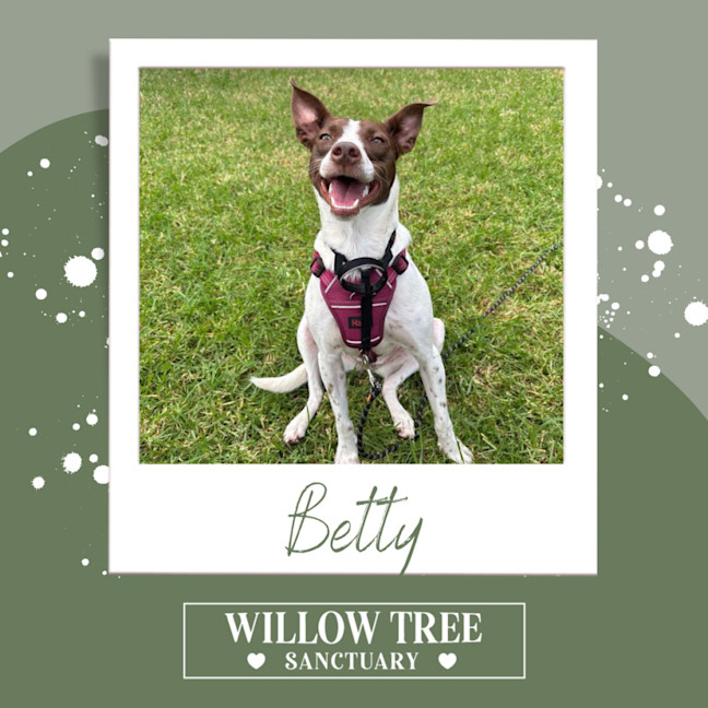 Photo of Betty 