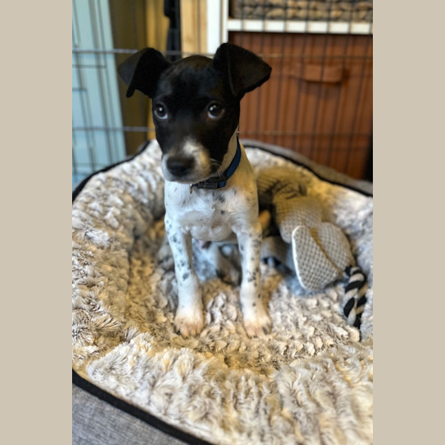 Photo of Iceman