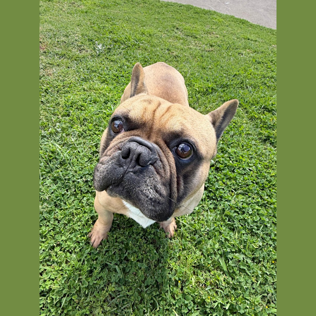 Photo of Murphy