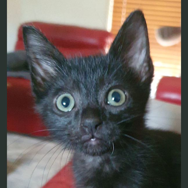 Photo of Zeke