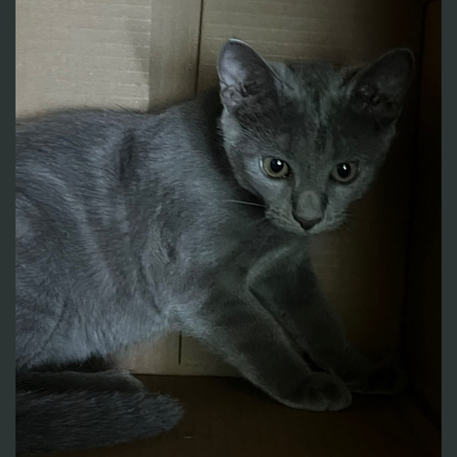Photo of Alvin