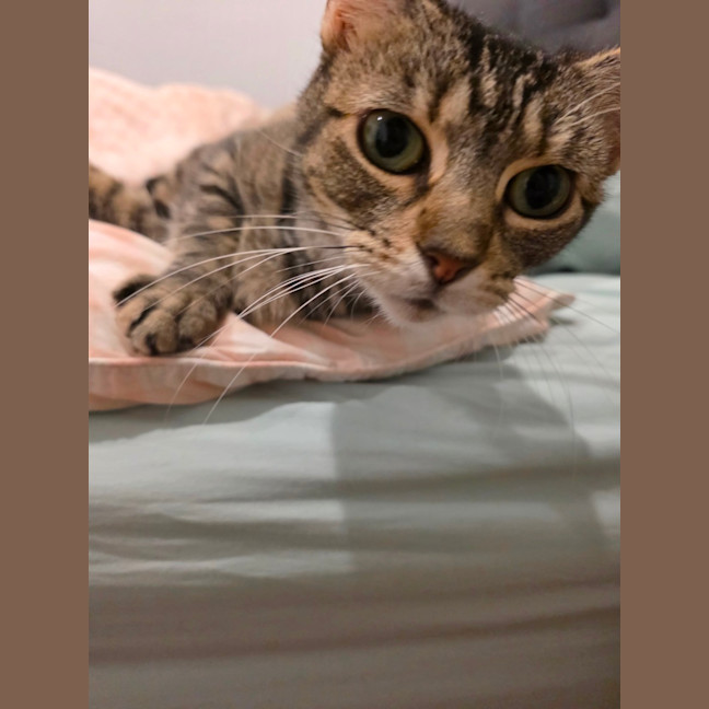 Photo of Jasmine