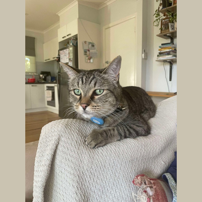 Photo of Boris
