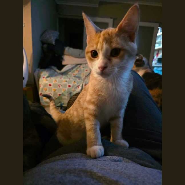 Photo of Peewee 
