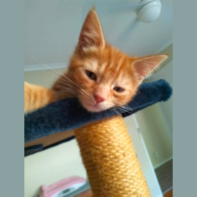 Photo of 🧡 G A R Y 🧡