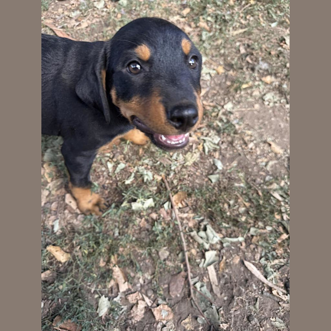 Photo of Frankie Raydar