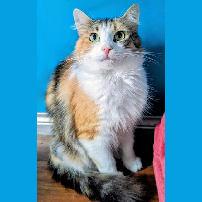 Photo of Belle