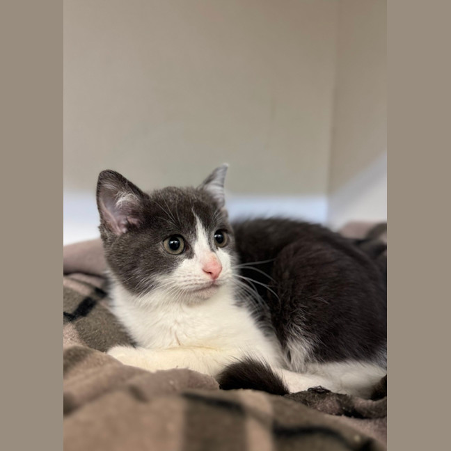 Photo of Theodore 