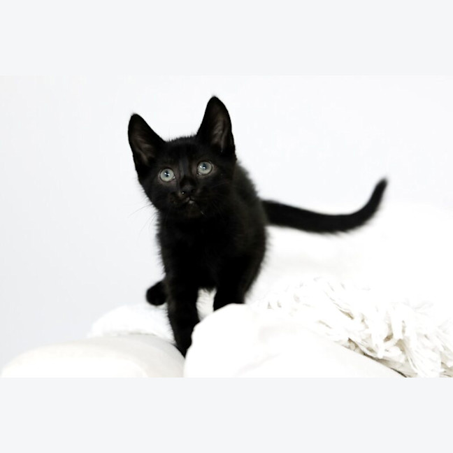Photo of Zali
