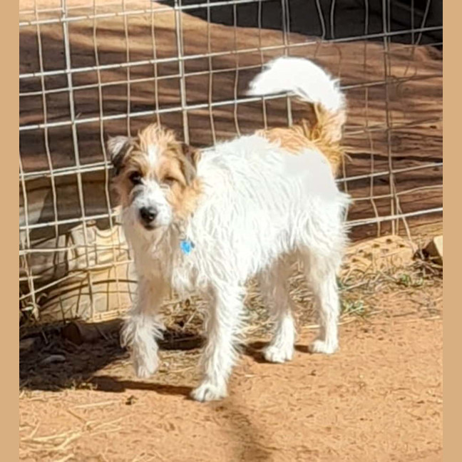 Photo of Mr Max