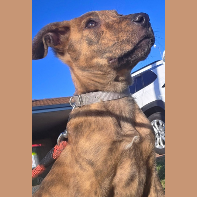 Photo of Sherbie