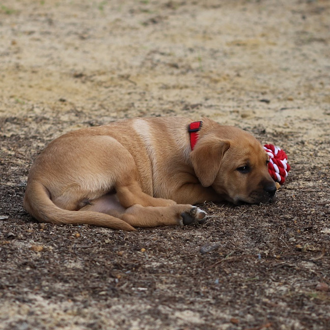 Photo of Addie