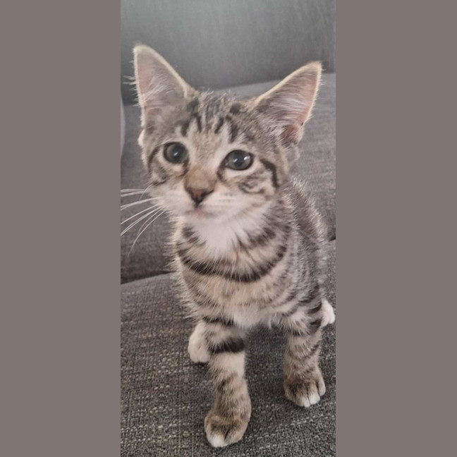 Photo of Harriet