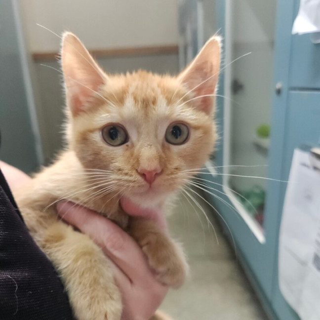 Photo of Brian