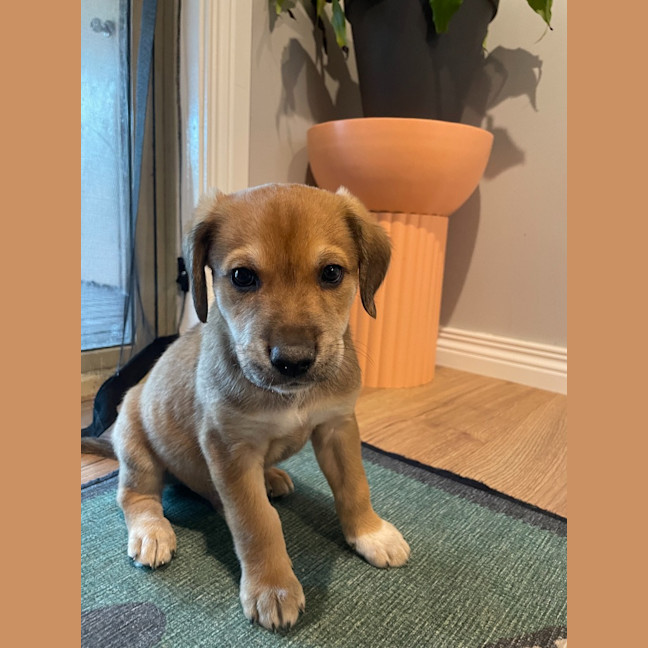 Photo of Monty