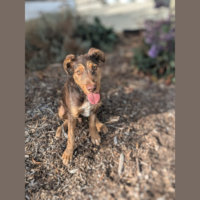 Photo of 🌳 Trevor 5939 🌳