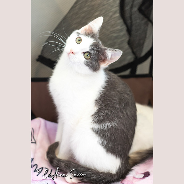 Photo of Leo