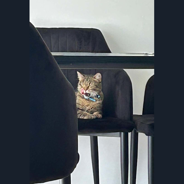 Photo of Tora