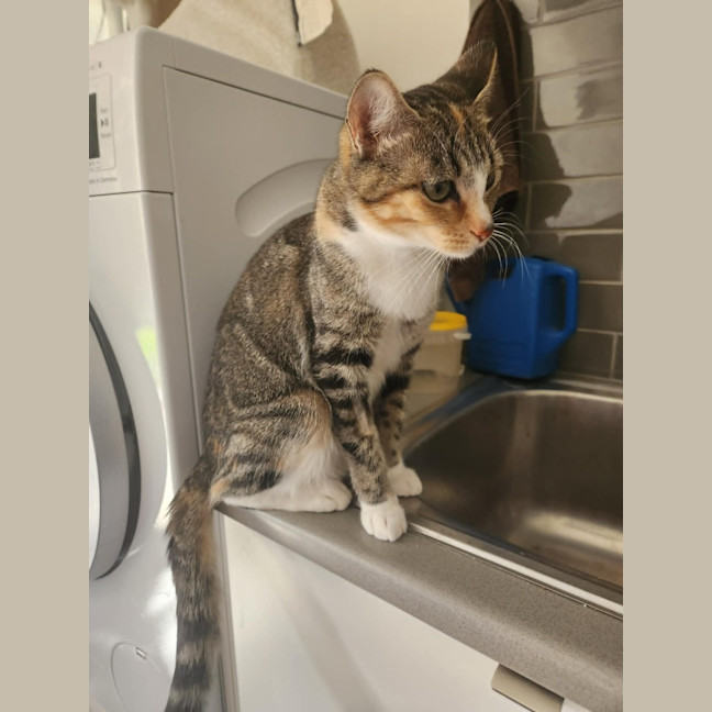 Photo of Enid