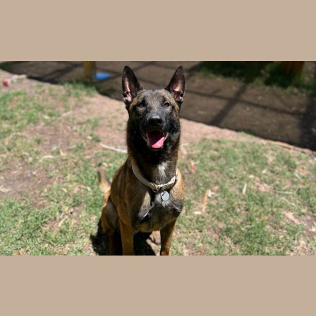 Photo of Remington