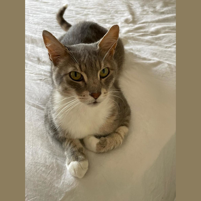 Photo of Zen