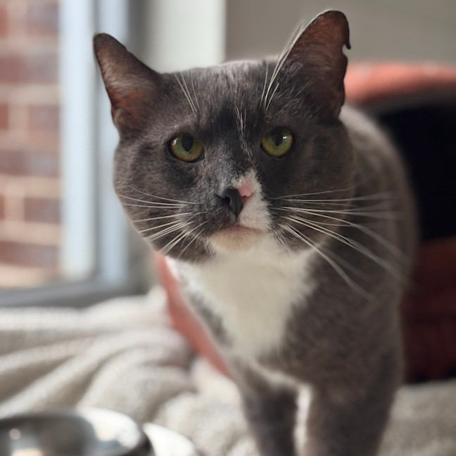 Photo of Doug