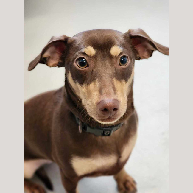 Photo of 🥨 Hilde 5390 🥨