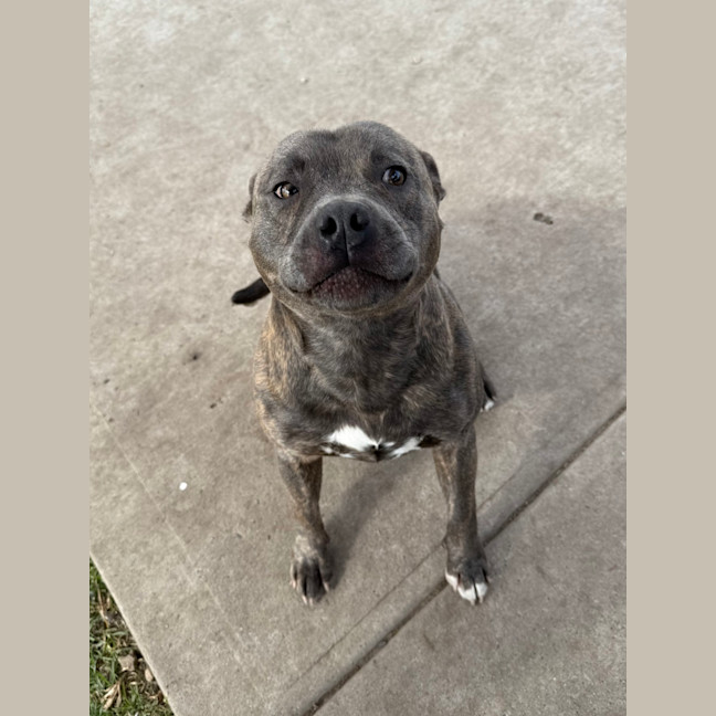 Photo of Zeus
