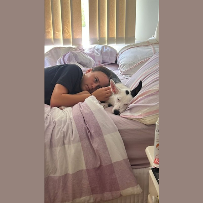 Photo of Gemma   9 Month Old Border Collie X